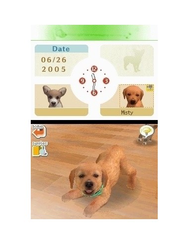 Nintendo Nintendogs  Dachshund & Friends, NDS Nintendo DS