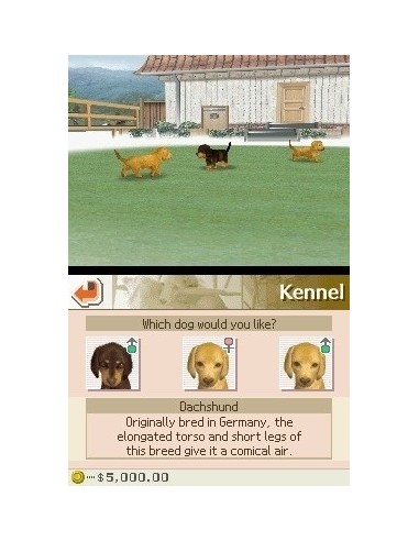 Nintendo Nintendogs  Dachshund & Friends, NDS Nintendo DS