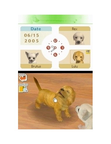 Nintendo Nintendogs  Dachshund & Friends, NDS Nintendo DS