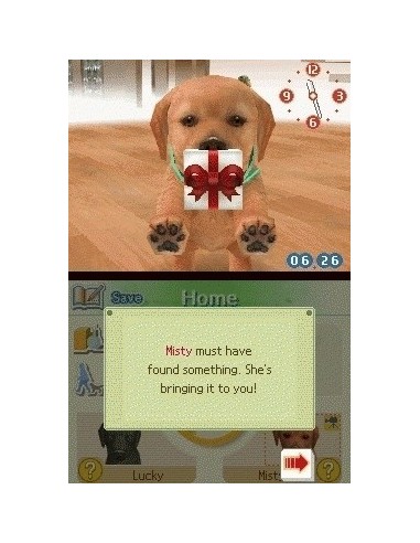 Nintendo Nintendogs  Labrador & Friends, NDS Nintendo DS