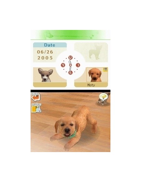 Nintendo Nintendogs  Labrador & Friends, NDS Nintendo DS