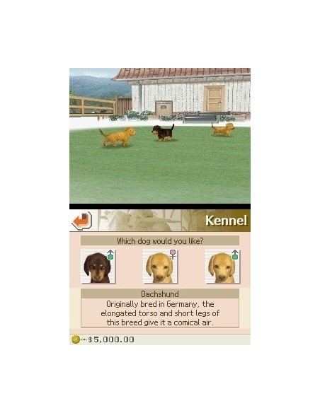 Nintendo Nintendogs  Labrador & Friends, NDS Nintendo DS