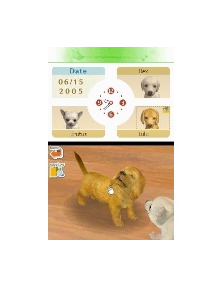 Nintendo Nintendogs  Labrador & Friends, NDS Nintendo DS