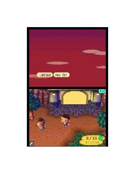 Nintendo Animal Crossing  Wild World, NDS Nintendo DS