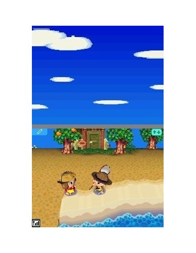 Nintendo Animal Crossing  Wild World, NDS Nintendo DS