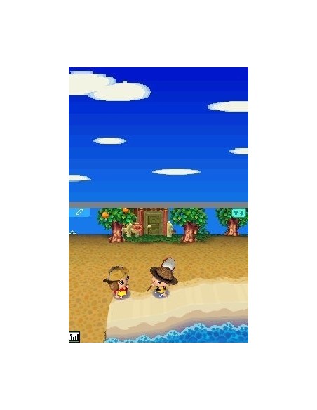 Nintendo Animal Crossing  Wild World, NDS Nintendo DS