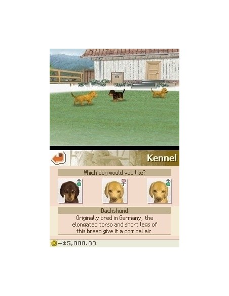 Nintendo Nintendogs  Dalmatian and Friends, NDS Nintendo DS