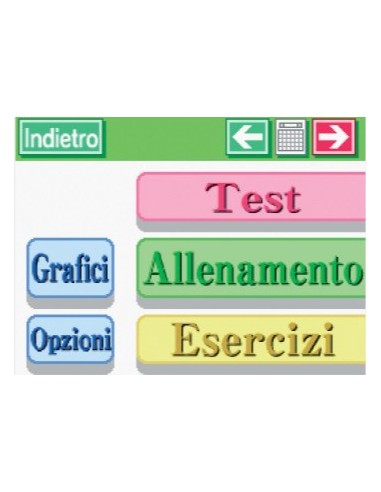 Nintendo English Training, NDS Nintendo DS