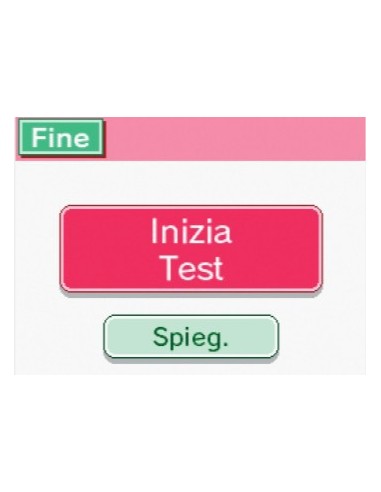 Nintendo English Training, NDS Nintendo DS