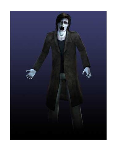 Nintendo Spirit Camera  The Cursed Memoir, 3DS Inglese Nintendo 3DS