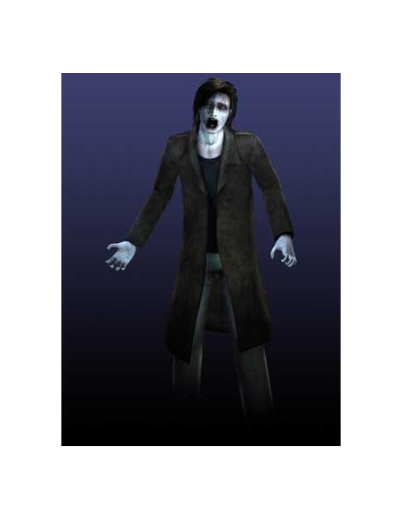 Nintendo Spirit Camera  The Cursed Memoir, 3DS Inglese Nintendo 3DS
