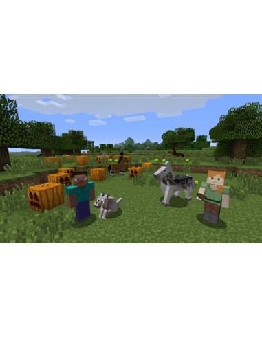 Nintendo Minecraft  Wii U Edition Standard Inglese