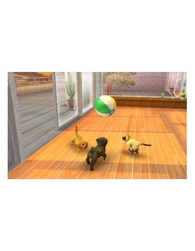 Nintendo Nintendogs + Cats  Golden Retriever Standard ITA Nintendo 3DS
