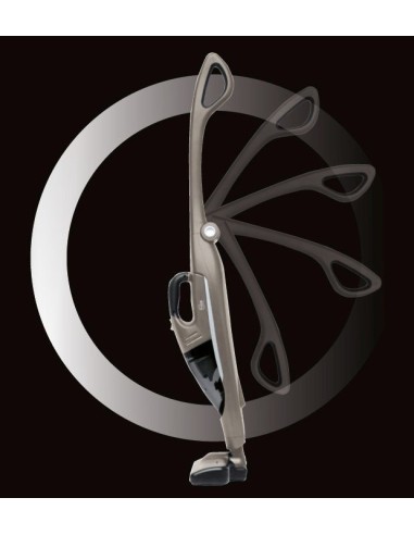 Bosch BBHMOVE4 scopa elettrica Senza sacchetto 0,3 L Nero, Champagne