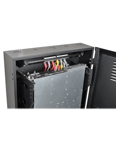 Tripp Lite SRWF6U36 porta accessori