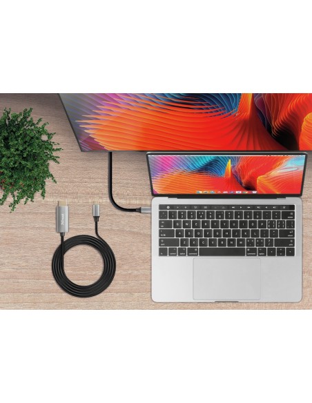 Trust Calyx adattatore grafico USB Nero, Metallico