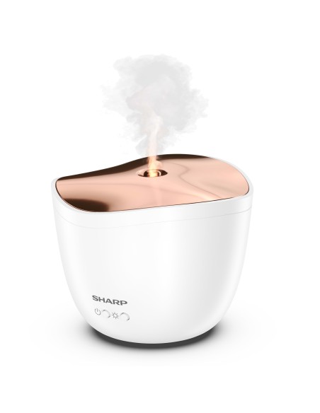 Sharp DF-A1E-W diffusore di aromi Cisterna Plastica Oro, Bianco Sharp DF-A1E-W diffusore di aromi Cisterna Plastica Oro, Bianco