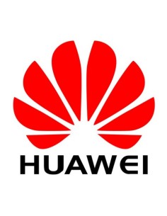 Huawei 88035DWN licenza per software aggiornamento 1 licenza e