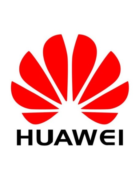 Huawei 88035DWN licenza per software aggiornamento 1 licenza e