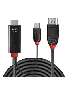 Lindy 41499 cavo e adattatore video 2 m HDMI + USB Type-A DisplayPort Nero 2