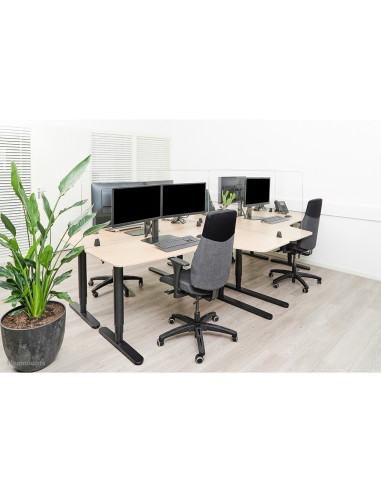 Neomounts by Newstar Schermo trasparente