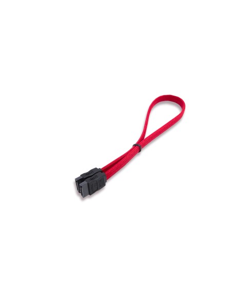 itek 3m SATAIII cavo SATA 0,3 m Rosso