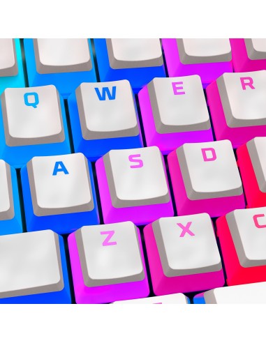 HyperX 4P5P5AA accessorio del dispositivo di ingresso Coperchio per tastiera