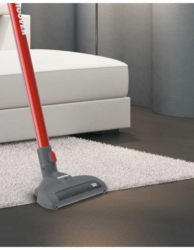 Hoover FD22RGE 011 Senza sacchetto 0,7 L Titanio