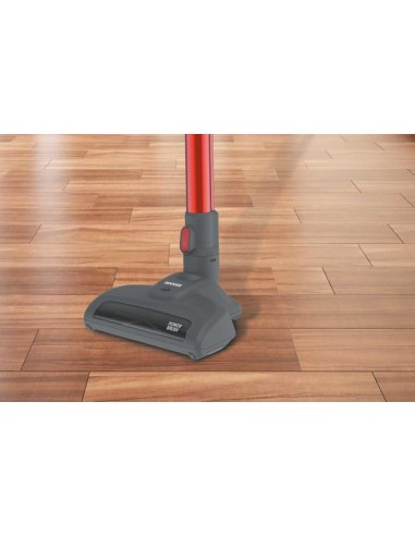 Hoover FD22RGE 011 Senza sacchetto 0,7 L Titanio