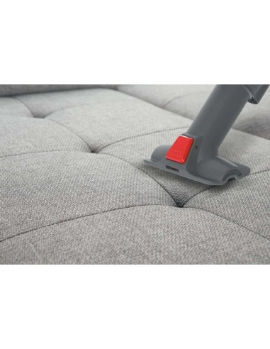 Hoover FD22RGE 011 Senza sacchetto 0,7 L Titanio