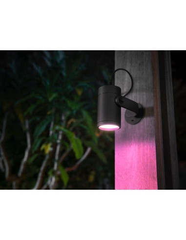 Philips Hue White and Color ambiance Lily Faretto Smart Esterno Antracite in Alluminio Kit base con alimentatore Basso voltaggio