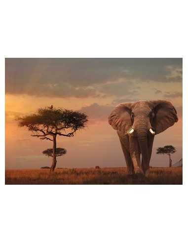 Ravensburger 00.015.159 Puzzle scorrevole 1000 pz Flora e fauna