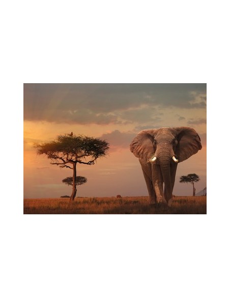 Ravensburger 00.015.159 Puzzle scorrevole 1000 pz Flora e fauna