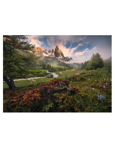 Ravensburger Alpi francesi