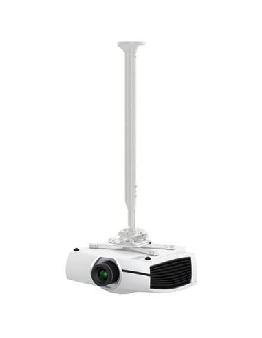 Chief KITMC supporto per proiettore Soffitto Bianco