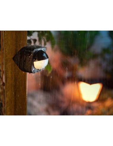 Philips Sensore per esterni