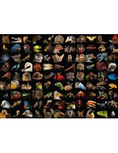 Ravensburger 15983 puzzle 1000 pz Animali 2