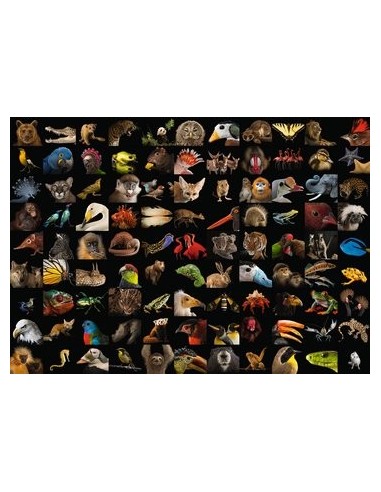 Ravensburger 15983 puzzle 1000 pz Animali