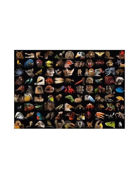 Ravensburger 15983 puzzle 1000 pz Animali