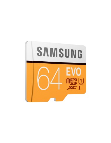 Samsung EVO 64 GB MicroSDXC UHS-I Classe 10