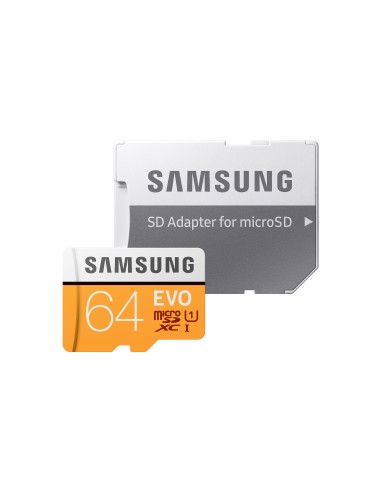 Samsung EVO 64 GB MicroSDXC UHS-I Classe 10