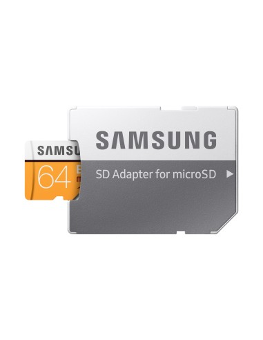 Samsung EVO 64 GB MicroSDXC UHS-I Classe 10