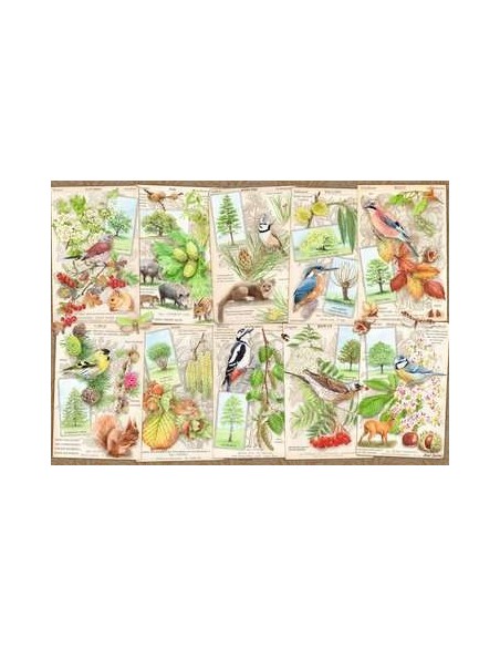 Ravensburger Wondrous Trees Puzzle di contorno 1000 pz Arte
