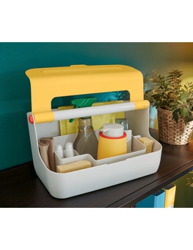 Leitz 61250019 scatola di conservazione Armadietto portaoggetti Rettangolare Acrilonitrile butadiene stirene (ABS) Bianco,