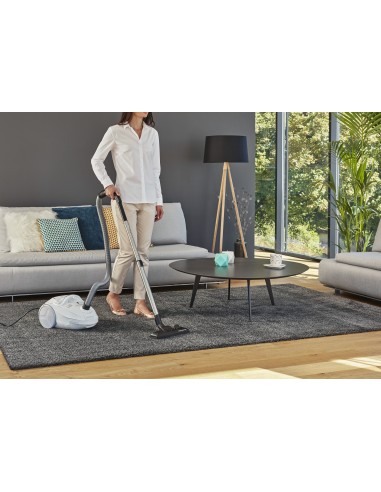Rowenta Compact Power RO3927 aspirapolvere a traino 3 L A cilindro Secco 750 W Sacchetto per la polvere