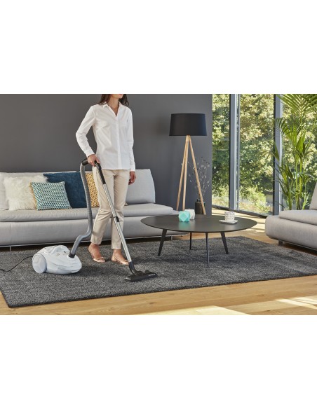 Rowenta Compact Power RO3927 aspirapolvere a traino 3 L A cilindro Secco 750 W Sacchetto per la polvere