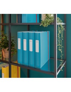 Leitz 10390061 cartella Polyfoam Blu A4 2