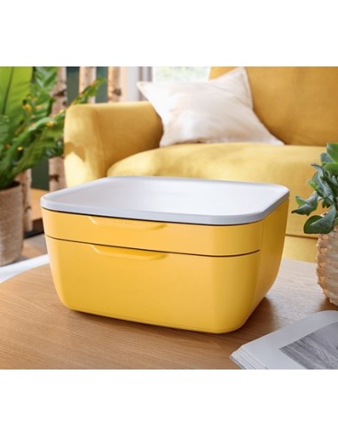 Leitz 53570019 vassoio da scrivania Polistirene (PS) Bianco, Giallo