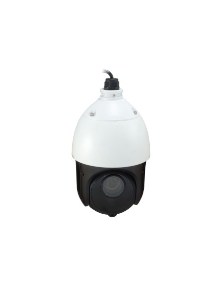 LevelOne FCS-4051 telecamera di sorveglianza Cupola Telecamera di sicurezza IP Interno e esterno 1920 x 1080 Pixel Soffitto