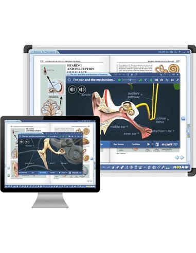 Newline Mozaik Education mozaBook Full 2 licenza e 2 anno i